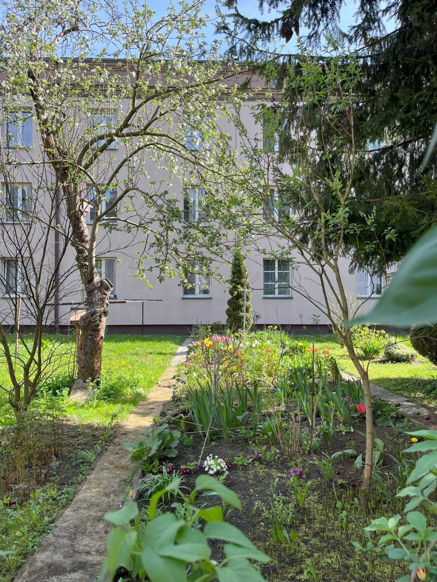 Greenthumb Praska Krakow Ngoại thất bức ảnh