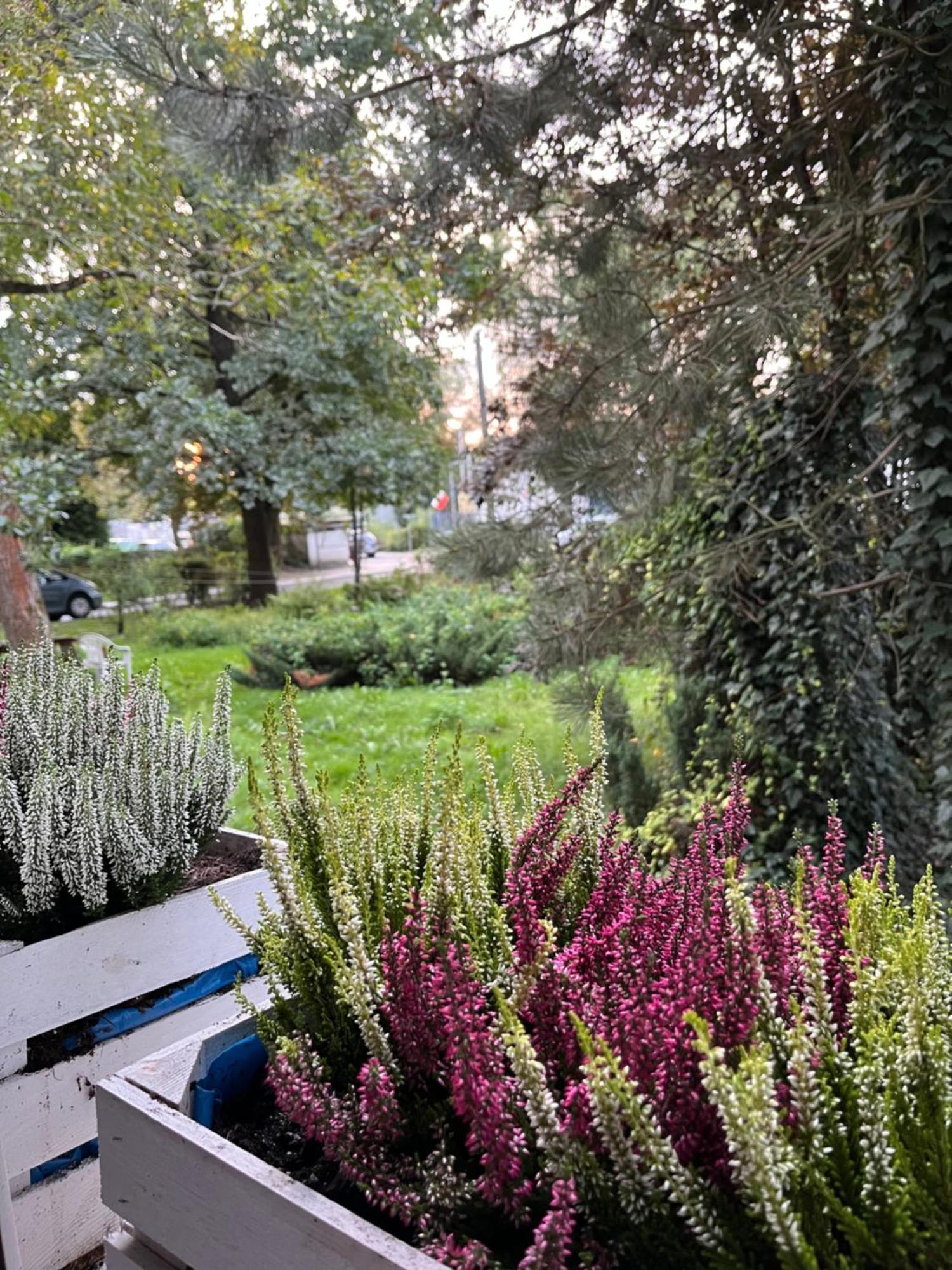 Greenthumb Praska Krakow Ngoại thất bức ảnh