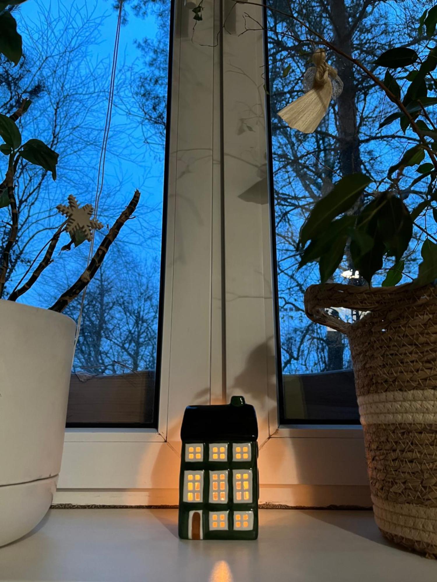 Greenthumb Praska Krakow Ngoại thất bức ảnh